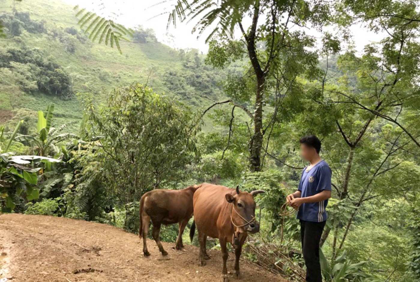 Vietnam