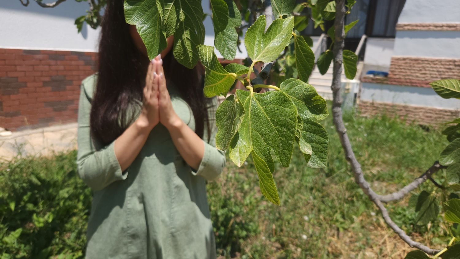 Portrait of Setarehi in Iran
